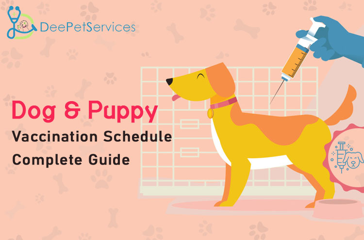 Dog & Puppy Vaccination Schedule